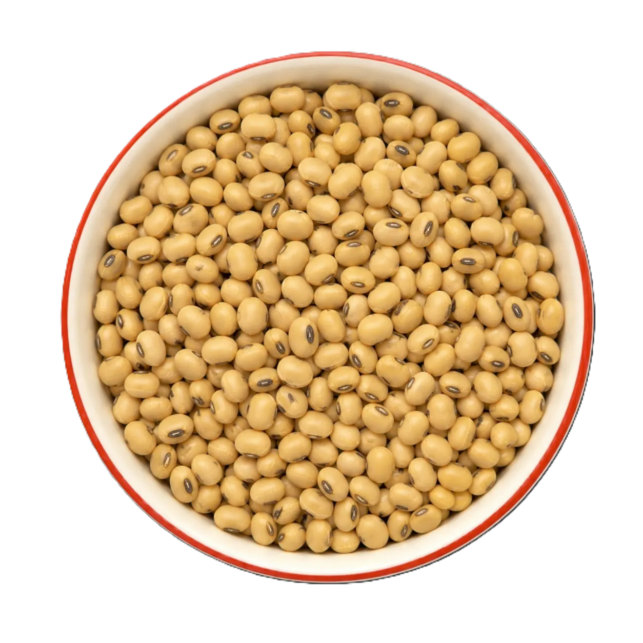 Indian Soybeans